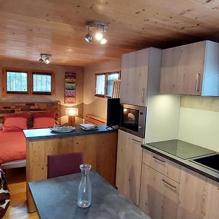 Studio Des Dents De Lanfon Talloires Ngoại thất bức ảnh